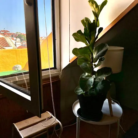 Lägenhet Parliament Ficus Lisboa