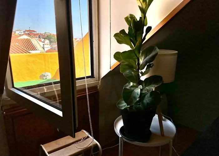 Daire Parliament Ficus Lisboa