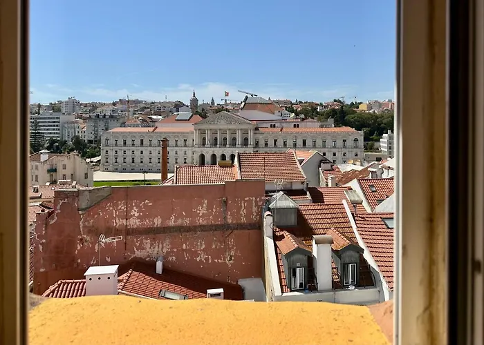 Parliament Ficus Daire Lisboa