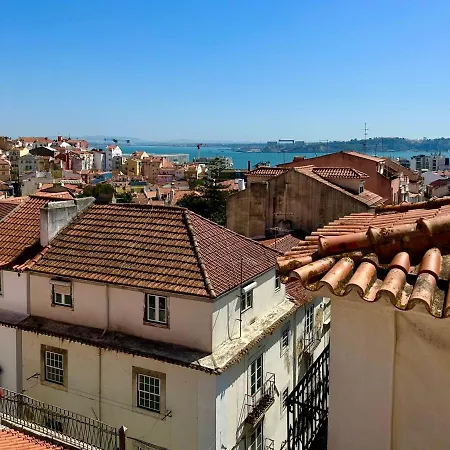 Parliament Ficus * Лиссабон