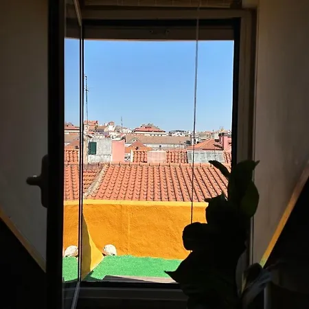 Apartment Parliament Ficus *